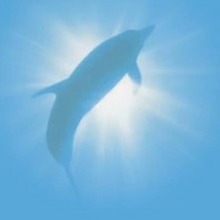 Instrumental Orchestral Hits