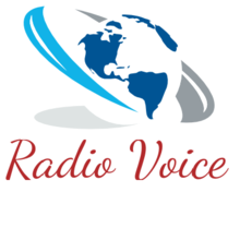 voice